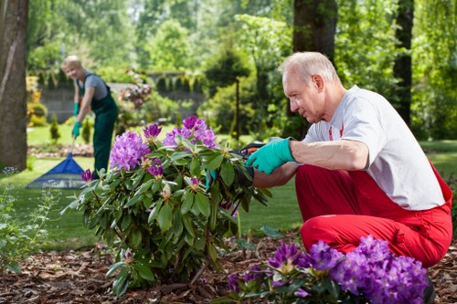 Professional tree surgeons reviewing service feedback