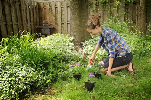 Secure billing and payment processing for tree surgery services